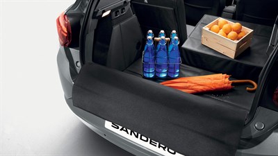 Sandero accessories